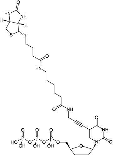 Structural formula of Biotin-11-ddUTP (Biotin-X-5-Propargylamino-ddUTP, γ-[N-(Biotin-6-amino-hexanoyl)]-5-propargylamino-2',3'-dideoxyuridine-5'-triphosphate, Triethylammonium salt)