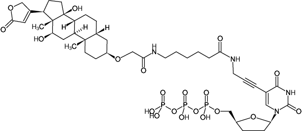 Structural formula of DIG-11-ddUTP (Digoxigenin-3-O-methylcarbonyl-ε-aminocaproyl-[5-(3-aminopropargyl) -2',3'-dideoxyuridine-5'-triphosphate], Triethylammoniumsalt)