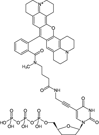Structural formula of 5-Propargylamino-ddUTP-ATTO-Rho101 (5-Propargylamino-2',3'-dideoxyuridine-5'-triphosphate, labeled with ATTO Rho101, Triethylammonium salt)
