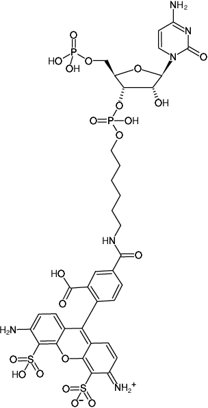 Structural formula of pCp-AF488 (Cytidine-5'-phosphate-3'-(6-aminohexyl)phosphate, labeled with AF488, Triethylammonium salt)