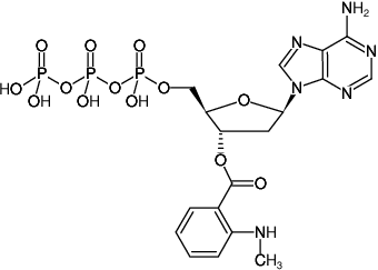 Structural formula of Mant-dATP (3'-O-(N-Methyl-anthraniloyl)-2'-deoxyadenosine-5'-triphosphate, Triethylammonium salt)