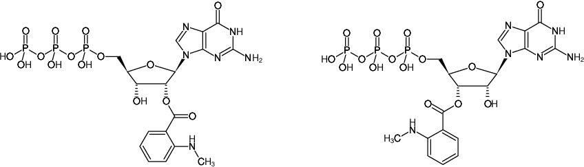 Structural formula of Mant-GTP (2'/3'-O-(N-Methyl-anthraniloyl)-guanosine-5'-triphosphate, Triethylammonium salt)