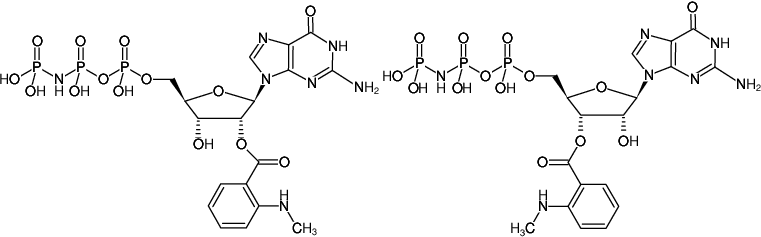 Structural formula of Mant-GppNHp ((Mant-GMPPNP), 2'/3'-O-(N-Methyl-anthraniloyl)-guanosine-5'-[(β,γ)-imido]triphosphate, Triethylammonium salt)