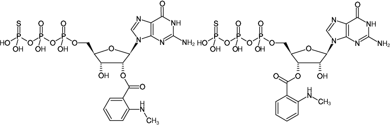 Structural formula of Mant-GTPγS (2'/3'-O-(N-Methyl-anthraniloyl)-guanosine-5'-(γ-thio)-triphosphate, Triethylammonium salt)