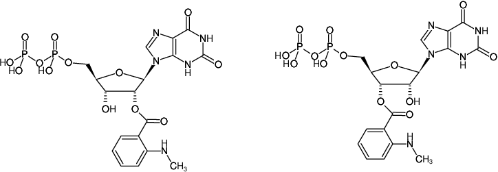 Structural formula of Mant-XDP (2'/3'-O-(N-Methyl-anthraniloyl)-xanthosine-5'-diphosphate, Triethylammonium salt)