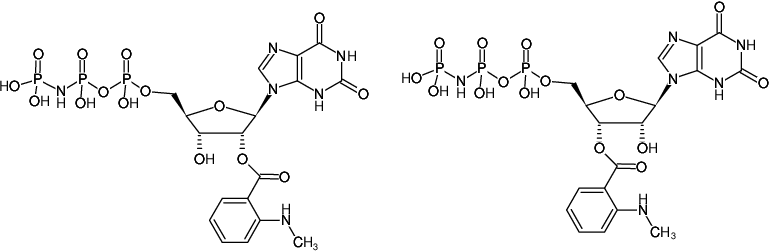 Structural formula of Mant-XppNHp ((Mant-XMPPNP), 2'/3'-O-(N-Methyl-anthraniloyl)-xanthosine-5'-[(β,γ)-imido]triphosphate, Triethylammonium salt)
