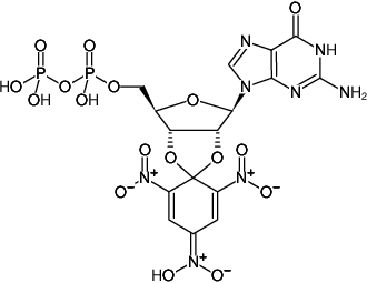 Structural formula of TNP-GDP (2',3'-O-Trinitrophenyl-guanosine-5'-diphosphate, Triethylammonium salt)