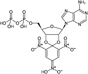 Structural formula of TNP-ADP (2',3'-O-Trinitrophenyl-adenosine-5'-diphosphate, Triethylammonium salt)