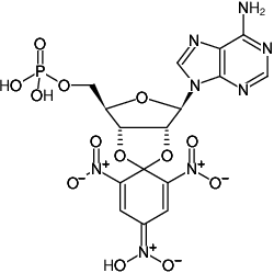 Structural formula of TNP-AMP (2',3'-O-Trinitrophenyl-adenosine-5'-monophosphate, Triethylammonium salt)
