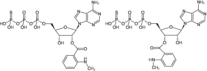 Structural formula of Mant-ATPγS (2'/3'-O-(N-Methyl-anthraniloyl)-adenosine-5'-( γ -thio)-triphosphate, Triethylammonium salt)