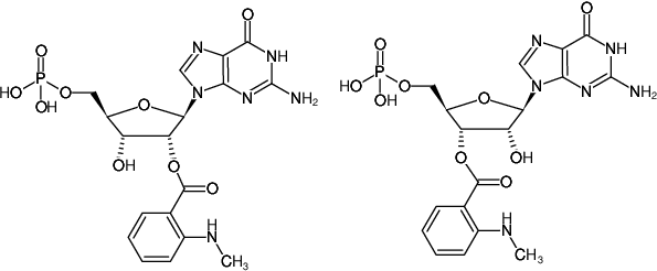 Structural formula of Mant-GMP (2'/3'-O-(N-Methyl-anthraniloyl)-guanosine-5'-monophosphate, Triethylammonium salt)