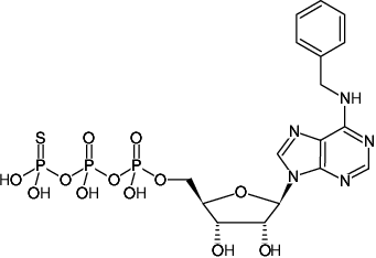 Structural formula of N6-Benzyl-ATPγS (6-Bn-ATPγS, N6-Benzyladenosine-5'-O-(3-thiotriphosphate), Sodium salt)
