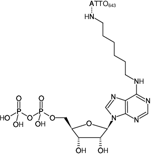 Structural formula of N6-(6-Aminohexyl)-ADP-ATTO-643 (N6-(6-Aminohexyl)-adenosine-5'-diphosphate, labeled with ATTO 643, Triethylammonium salt)