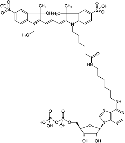 Structural formula of N6-(6-Aminohexyl)-ADP-Cy3 (N6-(6-Aminohexyl)-adenosine-5'-diphosphate, labeled with Cy3, Triethylammonium salt)