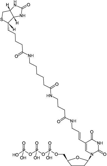 Structural formula of Biotin-16-ddUTP (Biotin-16-(5-aminoallyl)-ddUTP, Biotinyl-ε-aminocaproyl-γ-aminobutyryl-5-(3-aminoallyl)-2',3'-dideoxyuridine-5'-triphosphate, Triethylammonium salt)