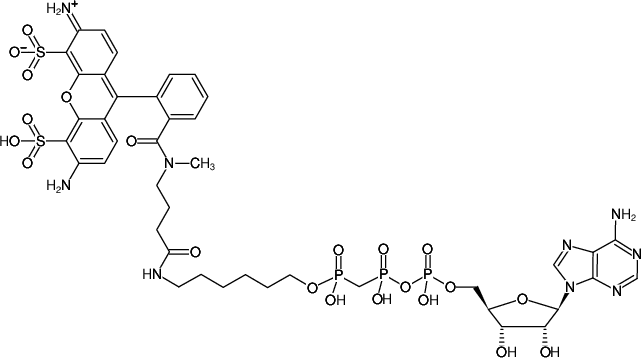 Structural formula of γ-(6-Aminohexyl)-AppCp-ATTO-488 (γ-(6-Aminohexyl)-adenosine-5'-[(beta,gamma)-methyleno]triphosphate, labeled with ATTO-488, Triethylammonium salt)