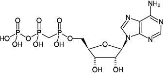 Structural formula of ApCpp ((AMPCPP), Adenosine-5'-[(α,β)-methyleno]triphosphate, Sodium salt)