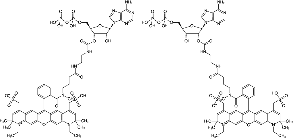 Structural formula of EDA-ADP-ATTO-594 (2'/3'-O-(2-Aminoethyl-carbamoyl)-Adenosine-5'-diphosphate, labeled with ATTO 594, Triethylammonium salt)