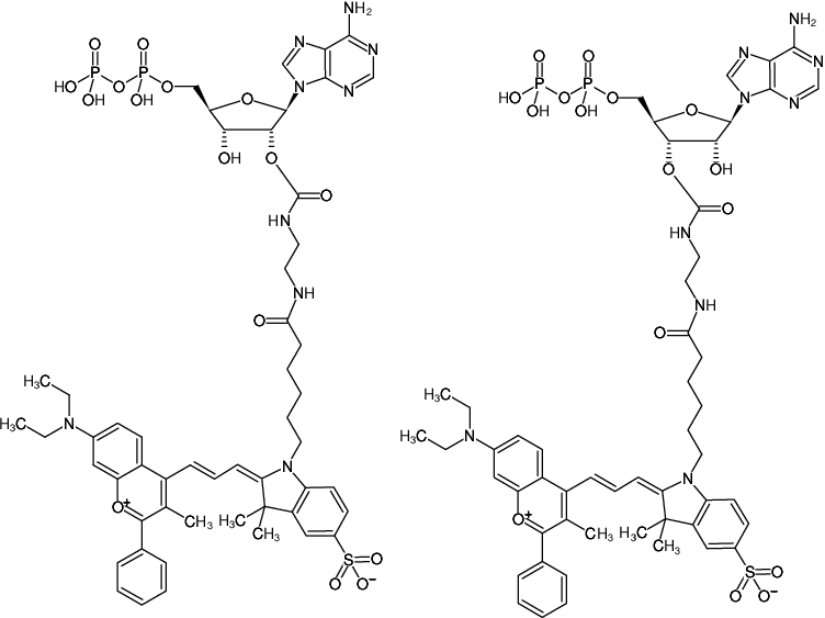 Structural formula of EDA-ADP-DYQ-660 (2'/3'-O-(2-Aminoethyl-carbamoyl)-Adenosine-5'-diphosphate, labeled with DYQ 660, Triethylammonium salt)