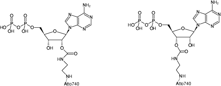 Structural formula of EDA-ADP-ATTO-740 (2'/3'-O-(2-Aminoethyl-carbamoyl)-Adenosine-5'-diphosphate, labeled with ATTO 740, Triethylammonium salt)