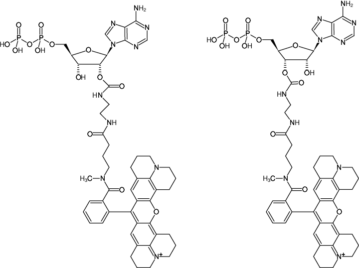 Structural formula of EDA-ADP-ATTO-Rho101 (2'/3'-O-(2-Aminoethyl-carbamoyl)-Adenosine-5'-diphosphate, labeled with ATTO Rho101, Triethylammonium salt)