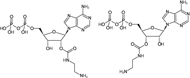 Structural formula of EDA-ADP (2'/3'-O-(2-Aminoethyl-carbamoyl)-Adenosine-5'-diphosphate, Sodium salt)