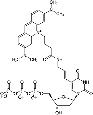 Structural formula of Aminoallyl-dUTP-ATTO-495 (5-(3-Aminoallyl)-2'-deoxyuridine-5'-triphosphate, labeled with ATTO 495, Triethylammonium salt)
