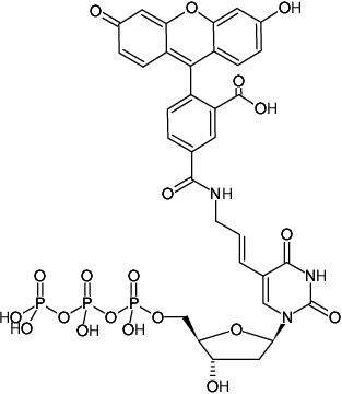 Structural formula of Aminoallyl-dUTP-5-FAM (5-(3-Aminoallyl)-2'-deoxyuridine-5'-triphosphate, labeled with 5 FAM, Triethylammonium salt)