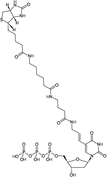 Structural formula of Biotin-16-dUTP (Biotin-16-(5-aminoallyl)-dUTP, Biotinyl-ε-aminocaproyl-γ-aminobutyryl-5-(3-aminoallyl)-2'-deoxyuridine-5'-triphosphate, Triethylammonium salt)
