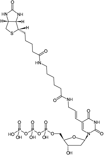 Structural formula of Biotin-11-dUTP (Biotin-X-(5-aminoallyl)-dUTP, γ-[N-(Biotin-6-amino-hexanoyl)]-(5-aminoallyl)-2'-deoxyuridine-5'-triphosphate, Triethylammonium salt)