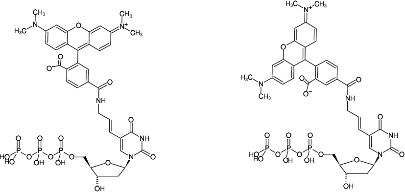 Structural formula of Aminoallyl-dUTP-5/6-TAMRA (Tetramethyl-Rhodamine-5-dUTP, 5-(3-Aminoallyl)-2'-deoxyuridine-5'triphosphate, labeled with 5/6-TAMRA, Triethylammonium salt)