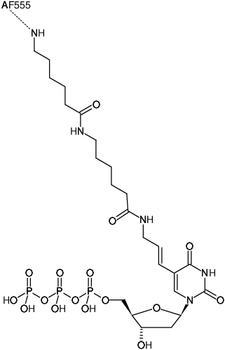 Structural formula of Aminoallyl-dUTP-XX-AF555 (5-(3-Aminoallyl)-2'-deoxyuridine-5'-triphosphate, labeled with AF555, Triethylammonium salt)