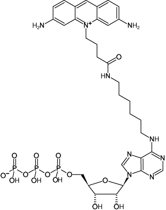 Structural formula of N6-(6-Aminohexyl)-ATP-ATTO-465 (N6-(6-Aminohexyl)-adenosine-5'-triphosphate, labeled with ATTO 465, Triethylammonium salt)