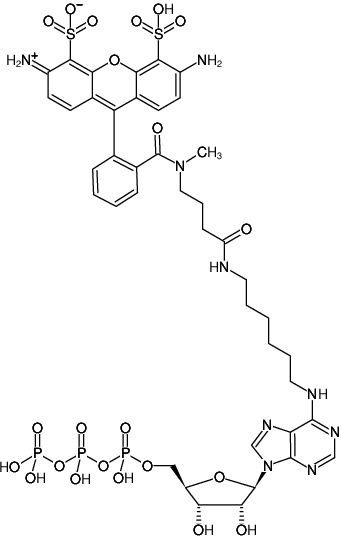 Structural formula of N6-(6-Aminohexyl)-ATP-ATTO-488 (N6-(6-Aminohexyl)-adenosine-5'-triphosphate, labeled with ATTO 488, Triethylammonium salt)