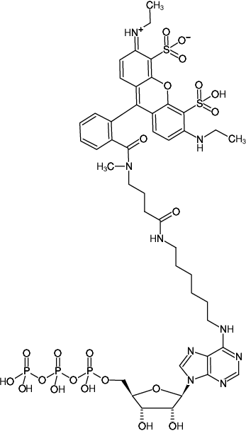 Structural formula of N6-(6-Aminohexyl)-ATP-ATTO-532 (N6-(6-Aminohexyl)-adenosine-5'-triphosphate, labeled with ATTO 532, Triethylammonium salt)