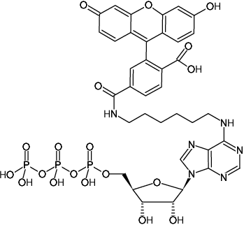 Structural formula of N6-(6-Aminohexyl)-ATP-6-FAM (N6-(6-Aminohexyl)-adenosine-5'-triphosphate, labeled with 6 FAM, Triethylammonium salt)