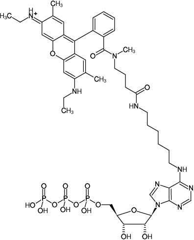 Structural formula of N6-(6-Aminohexyl)-ATP-ATTO-Rho6G (N6-(6-Aminohexyl)-adenosine-5'-triphosphate, labeled with ATTO Rho6G, Triethylammonium salt)