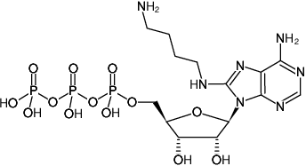 Structural formula of 8-[(4-Amino)butyl]-amino-ATP (8-[(4-Amino)butyl]-amino-adenosine-5'-triphosphate, Sodium salt)