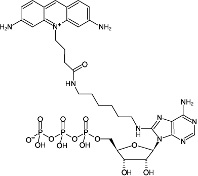 Structural formula of 8-(6-Aminohexyl)-amino-ATP-ATTO-465 (8-(6-Aminohexyl)-amino-adenosine-5'-triphosphate, labeled with ATTO 465, Triethylammonium salt)