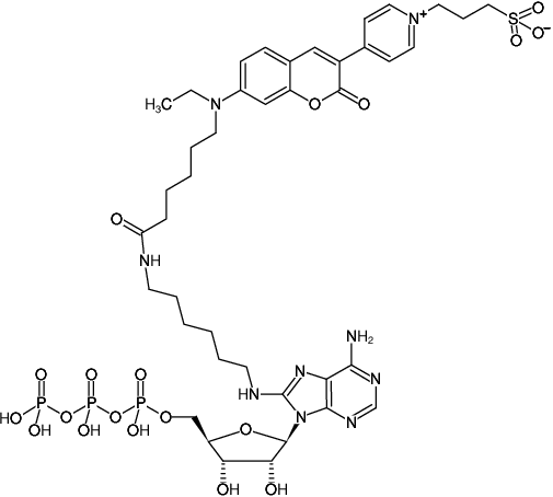 Structural formula of 8-(6-Aminohexyl)-amino-ATP-DY-485XL (8-(6-Aminohexyl)-amino-adenosine-5'-triphosphate, labeled with DY 485XL, Triethylammonium salt)
