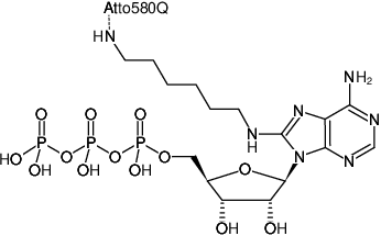 Structural formula of 8-(6-Aminohexyl)-amino-ATP-ATTO-580Q (8-(6-Aminohexyl)-amino-adenosine-5'-triphosphate, labeled with ATTO 580Q, Triethylammonium salt)