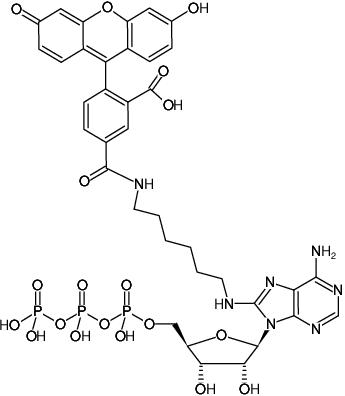 Structural formula of 8-(6-Aminohexyl)-amino-ATP-5-FAM (8-(6-Aminohexyl)-amino-adenosine-5'-triphosphate, labeled with 5 FAM, Triethylammonium salt)