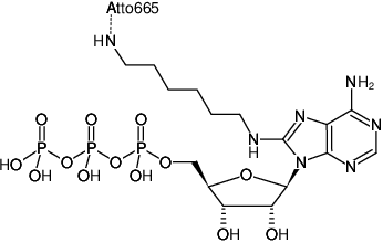 Structural formula of 8-(6-Aminohexyl)-amino-ATP-ATTO-665 (8-(6-Aminohexyl)-amino-adenosine-5'-triphosphate, labeled with ATTO 665, Triethylammonium salt)