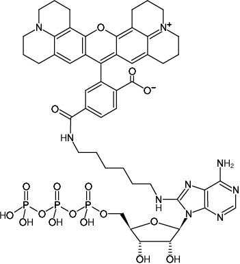 Structural formula of 8-(6-Aminohexyl)-amino-ATP-6-ROX (8-(6-Aminohexyl)-amino-adenosine-5'-triphosphate, labeled with 6-ROX, Triethylammonium salt)