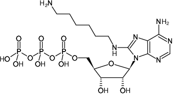 Structural formula of 8-(6-Aminohexyl)-amino-ATP (8-(6-Aminohexyl)-amino-adenosine-5'-triphosphate, Sodium salt)