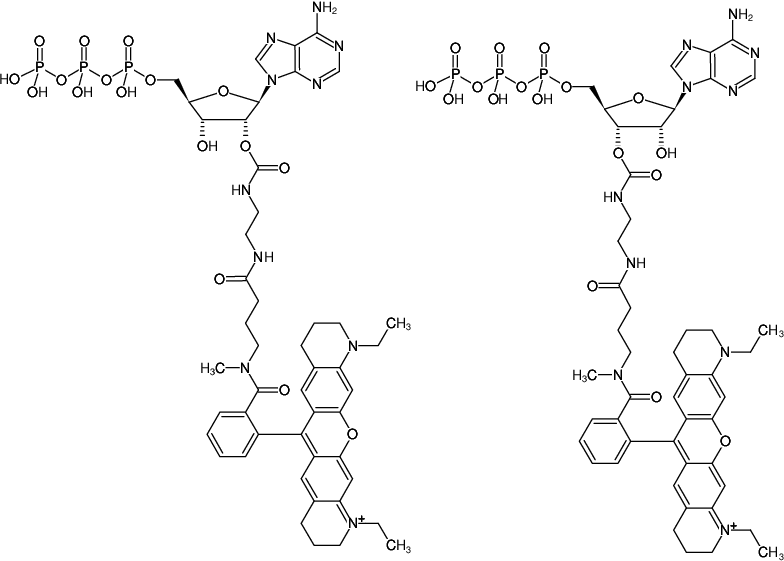 Structural formula of EDA-ATP-ATTO-Rho11 (2'/3'-O-(2-Aminoethyl-carbamoyl)-Adenosine-5'-triphosphate, labeled with ATTO Rho11, Triethylammonium salt)