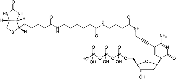 Structural formula of Biotin-16-dCTP (Biotin-16-Propargylamino-dCTP, γ-[N-(Biotin-6-amino-hexanoyl-6-aminobutanoyl)]-5-(3-propargylamino)-2'-deoxycytidine-5'-triphosphate, Triethylammonium salt)