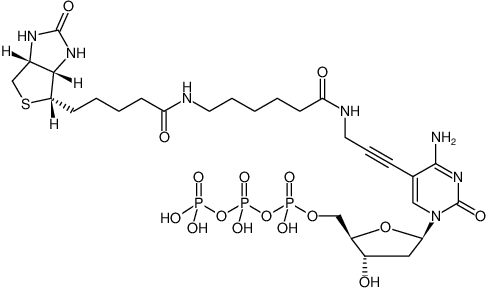 Structural formula of Biotin-11-dCTP (Biotin-X-5-Propargylamino-dCTP, γ-[N-(Biotin-6-amino-hexanoyl)]-5-propargylamino-2'-deoxycytidine-5'-triphosphate, Triethylammonium salt)