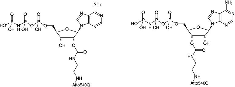 Structural formula of EDA-AppNHp (EDA-AMPPNP)-ATTO-540Q (2'/3'-O-(2-Aminoethyl-carbamoyl)-Adenosine-5'-[(β,γ)-imido] triphosphate, labeled with ATTO 540Q, Triethylammonium salt)