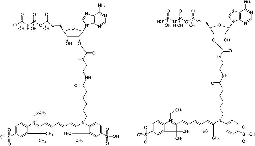 Structural formula of EDA-AppNHp (EDA-AMPPNP)-Cy5 (2'/3'-O-(2-Aminoethyl-carbamoyl)-Adenosine-5'-[(β,γ)-imido] triphosphate, labeled with Cy5, Triethylammonium salt)